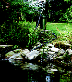 garten_filter_aussen_3455